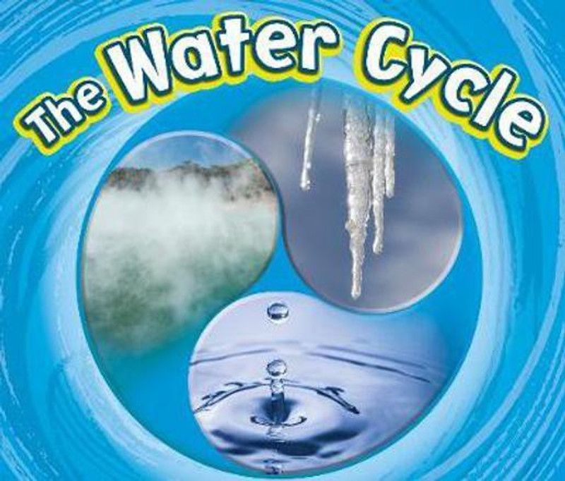 The Water Cycle  (English, Paperback, Ipcizade Catherine)