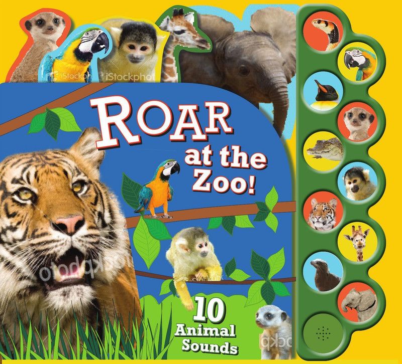 Roar at the Zoo!  (English, Board book, Parragon Books Ltd)