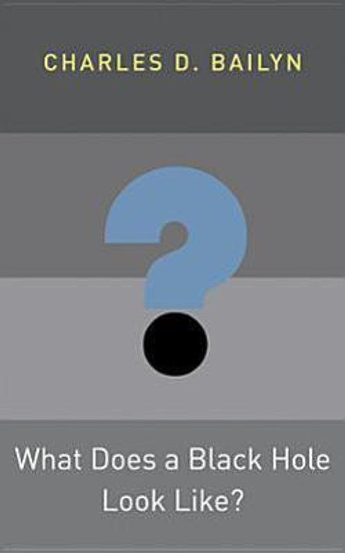 What Does a Black Hole Look Like?  (English, Hardcover, Bailyn Charles D.)