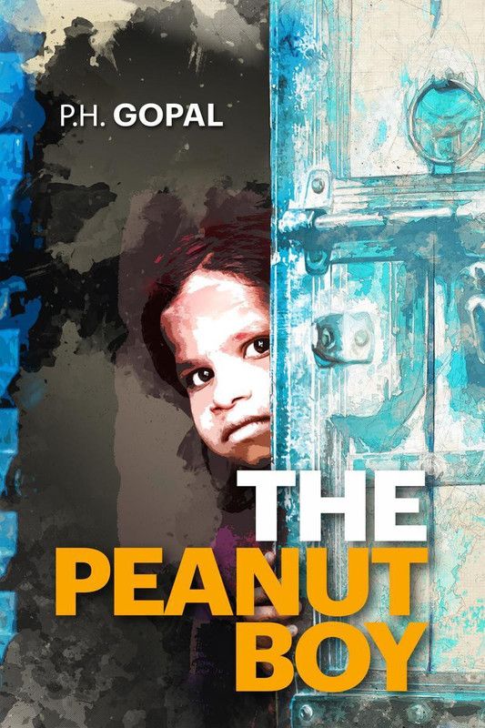 THE PEANUT BOY  (English, Paperback, P. H. Gopal)
