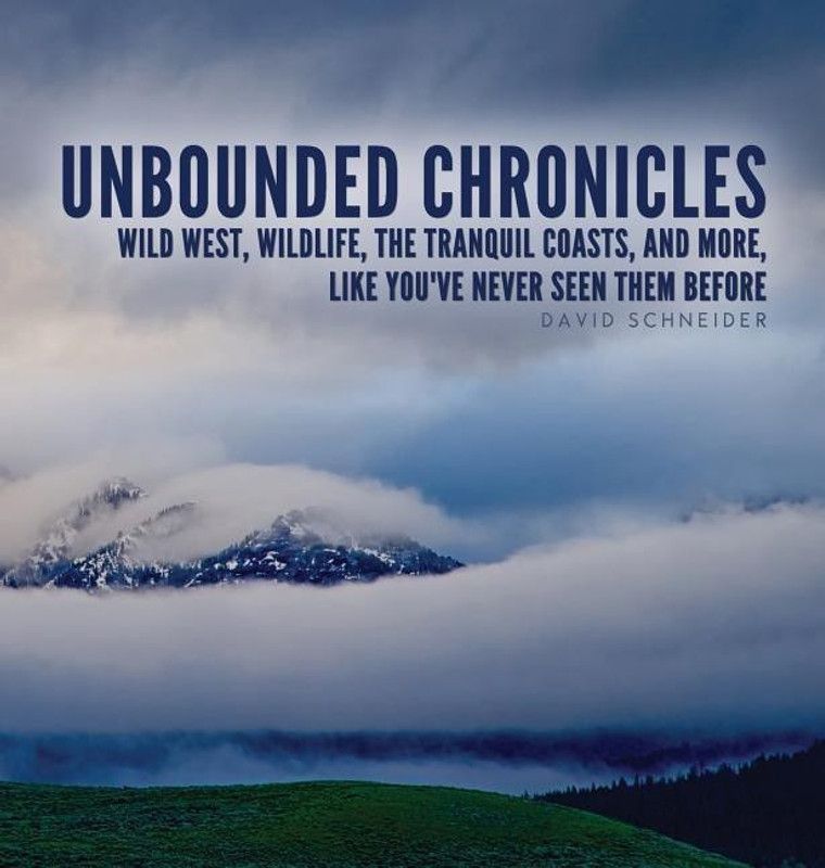 Unbounded Chronicles (Hardcover)  (English, Hardcover, Schneider David)