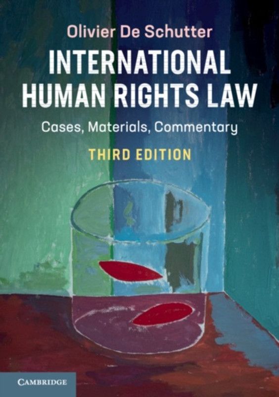 International Human Rights Law  (English, Paperback, De Schutter Olivier)
