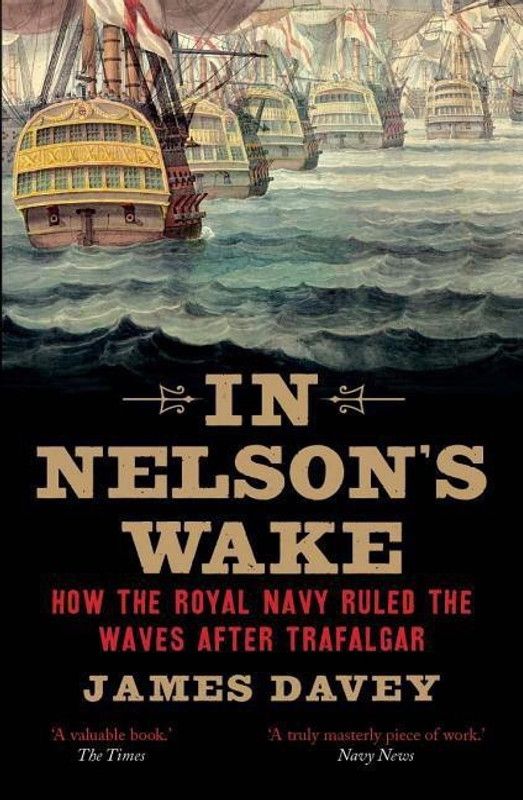 In Nelson's Wake  (English, Paperback, Davey James)
