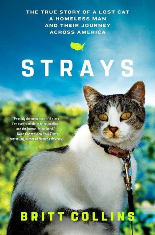 Strays  (English, Paperback, Collins Britt)