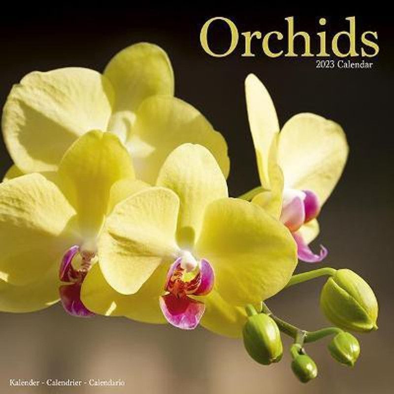Orchids 2023 Wall Calendar  (English, Calendar, unknown)