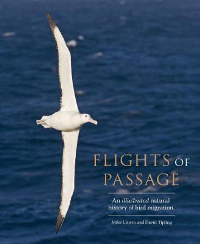 Flights of Passage  (English, Hardcover, Unwin Mike)