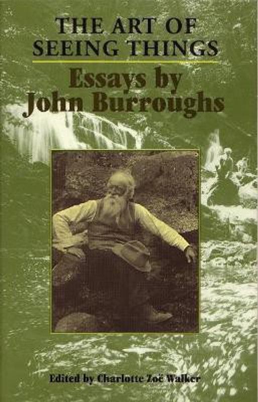 The Art of Seeing Things  (English, Paperback, unknown)