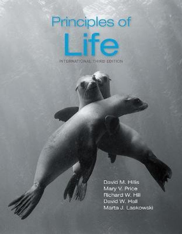 Principles of Life  (English, Paperback, Hillis David M.)