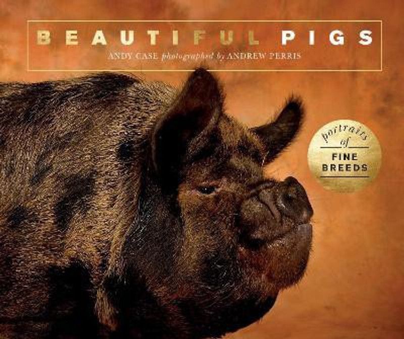 Beautiful Pigs  (English, Paperback, Case Andy)