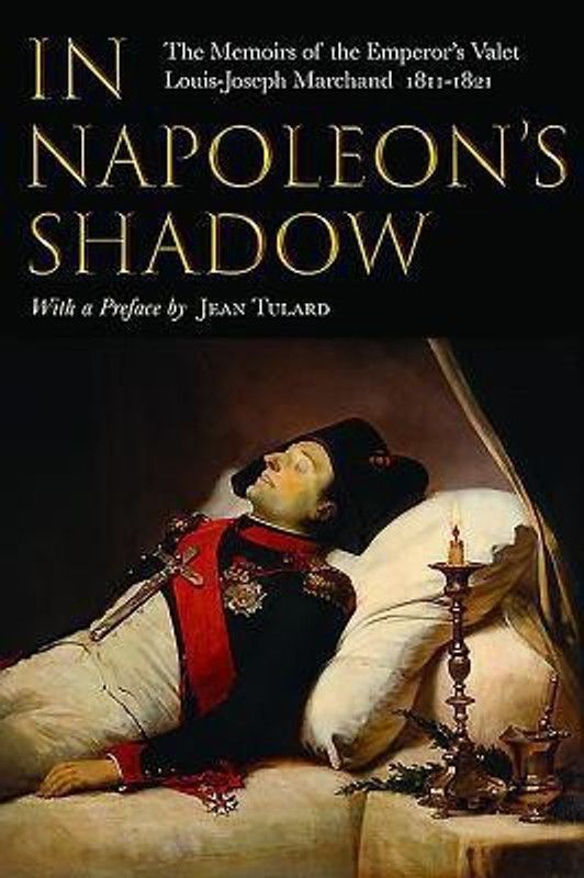 In Napoleon's Shadow  (English, Paperback, Jones Proctor Patterson)