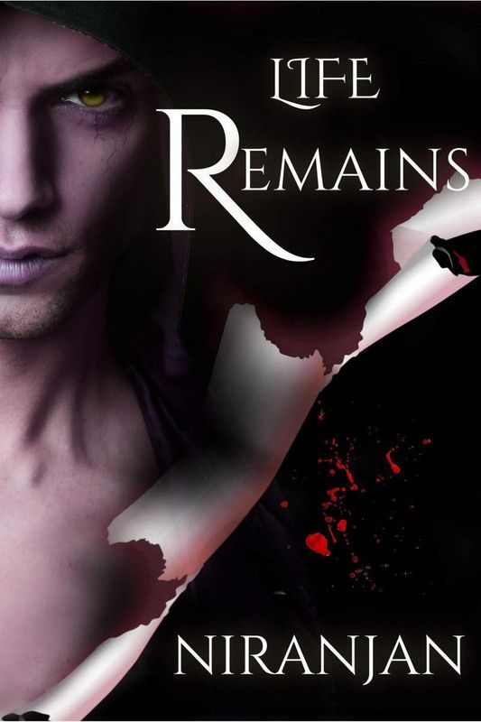 Life Remains  (English, Paperback, Niranjan K)