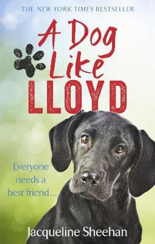 A Dog Like Lloyd  (English, Paperback, Sheehan Jacqueline)