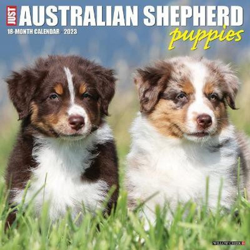 Just Australian Shepherd Puppies 2023 Wall Calendar  (English, Calendar, Willow Creek Press)