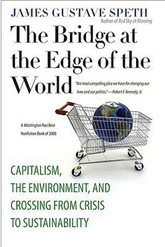 The Bridge at the Edge of the World  (English, Paperback, Speth James Gustave)
