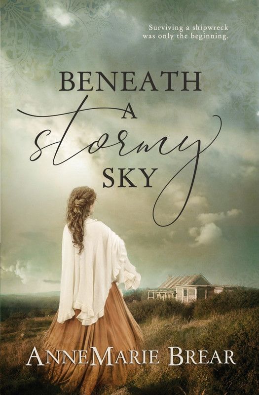 Beneath a Stormy Sky  (English, Paperback, Brear AnneMarie)