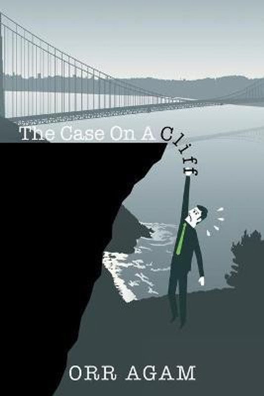 The Case on a Cliff  (English, Paperback, Agam Orr)