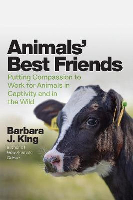 Animals' Best Friends  (English, Hardcover, King Barbara J)