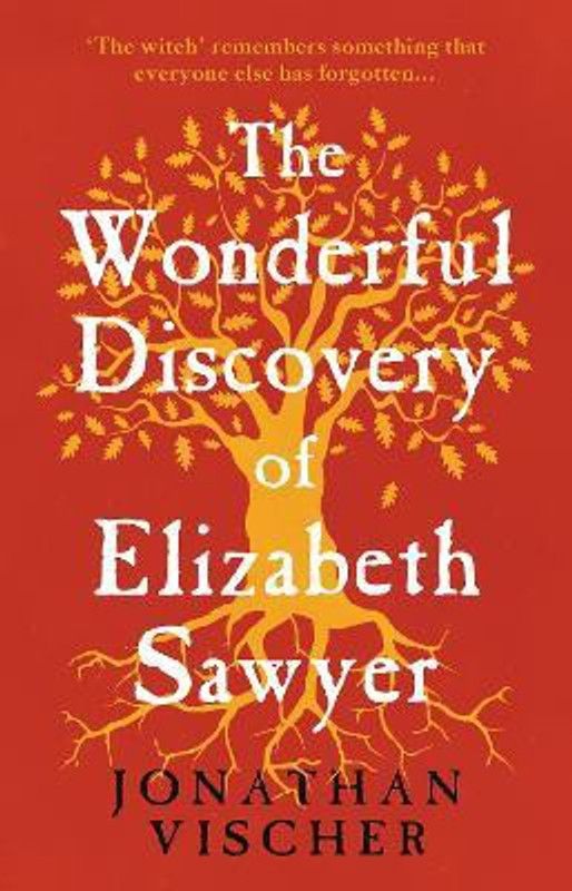 The Wonderful Discovery of Elizabeth Sawyer  (English, Paperback, Vischer Jonathan)