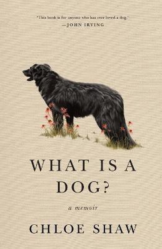 What Is a Dog?  (English, Paperback, Shaw Chloe)