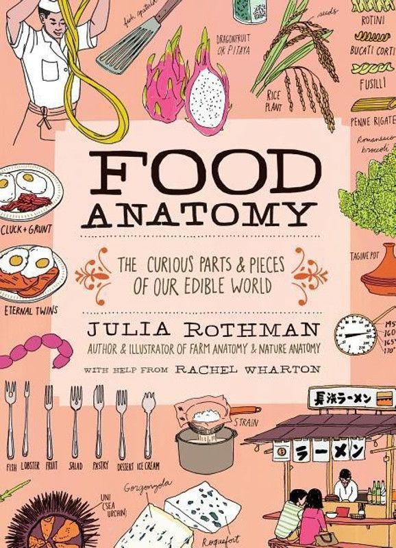 Food Anatomy  (English, Paperback, Rothman Julia)