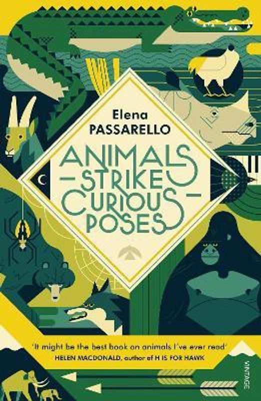 Animals Strike Curious Poses  (English, Paperback, Passarello Elena)