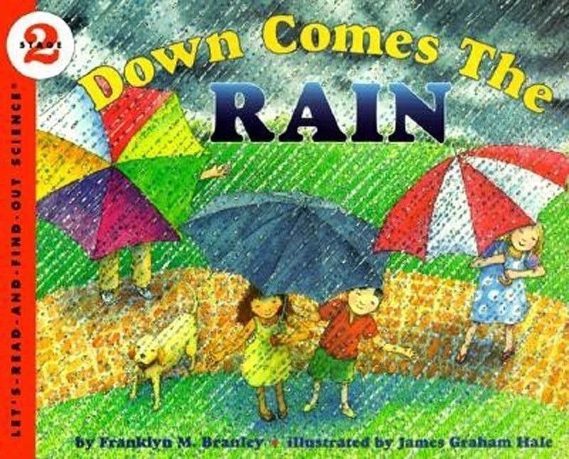 Down Comes the Rain  (English, Paperback, Branley Franklyn M)