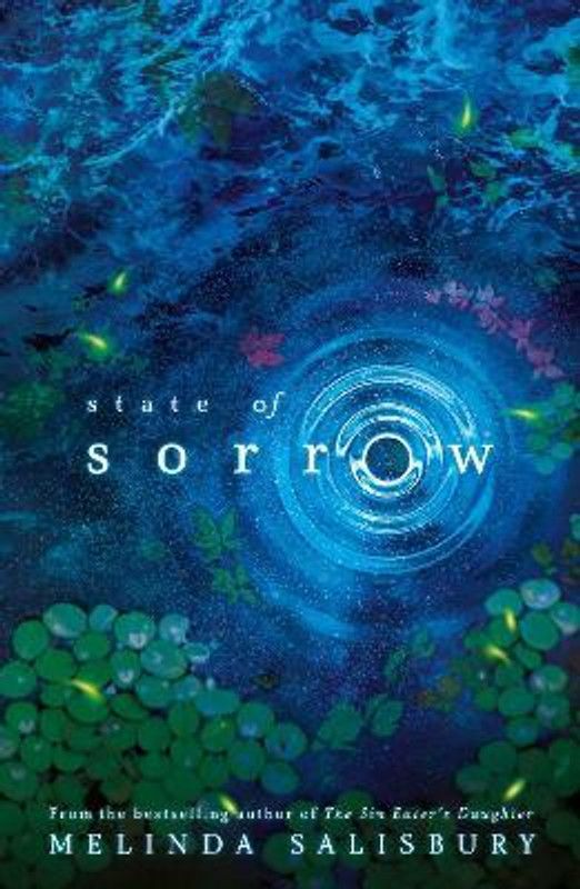 State of Sorrow  (English, Paperback, Salisbury Melinda)