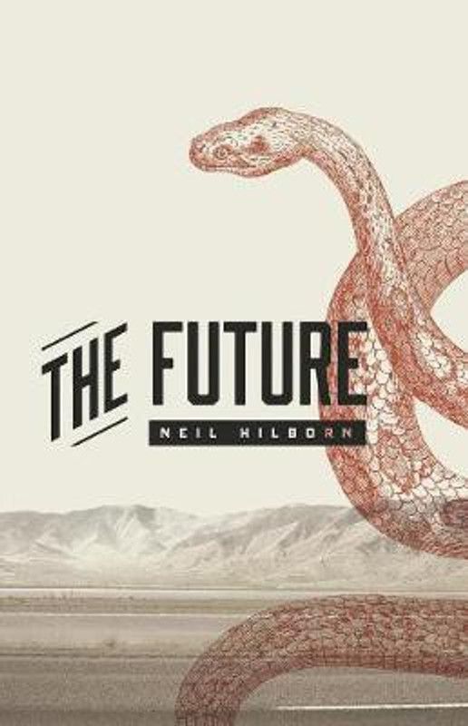 The Future  (English, Paperback, Hilborn Neil)