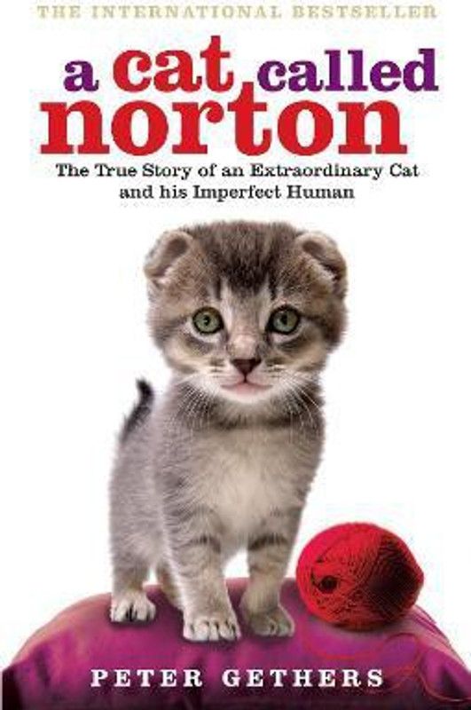 A Cat Called Norton - The True Story of an Extraordinary Cat and His Imperfect Human  (English, Paperback, Gethers Peter)