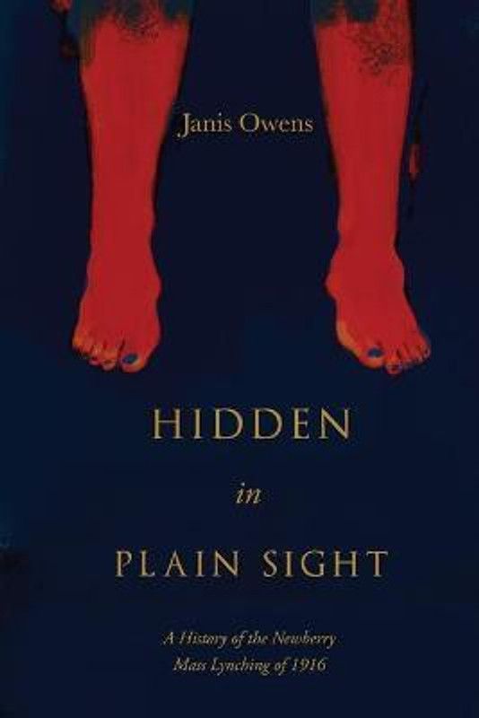 Hidden in Plain Sight  (English, Paperback, Owens Janis)