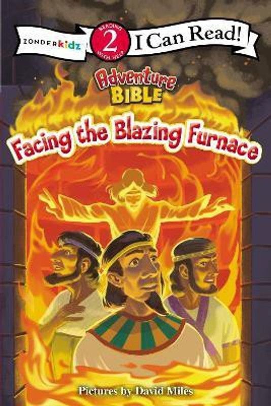 Facing the Blazing Furnace  (English, Paperback, unknown)