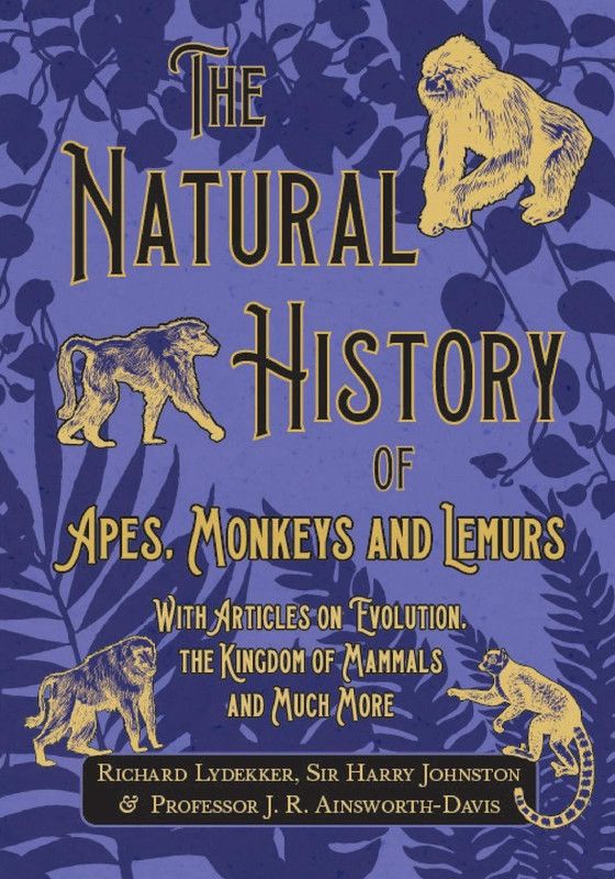 The Natural History of Apes, Monkeys and Lemurs - With Articles on Evolution, the Kingdom of Mammals and Much More  (English, Paperback, Lydekker Richard)