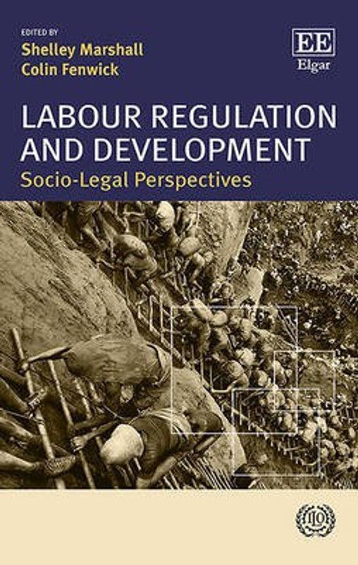 Labour Regulation and Development  (English, Hardcover, unknown)