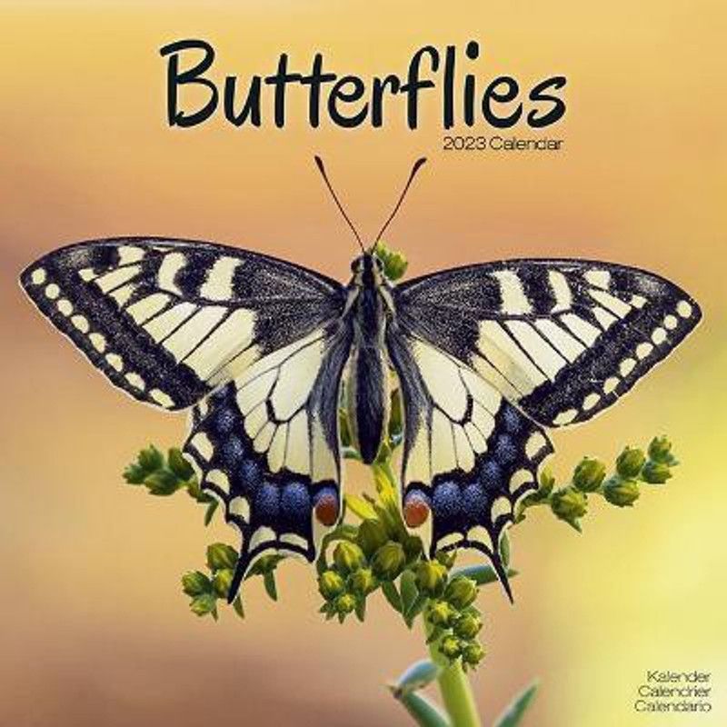Butterflies 2023 Wall Calendar  (English, Calendar, unknown)