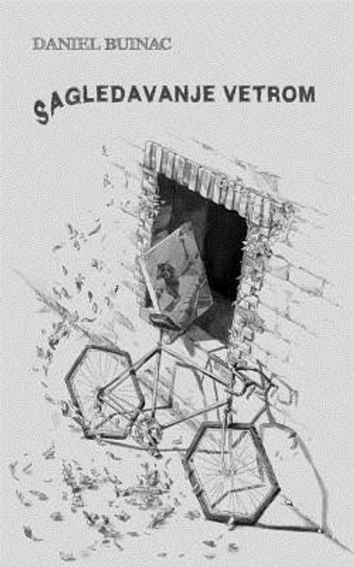 Sagledavanje vetrom  (Others, Paperback, Buinac Daniel)