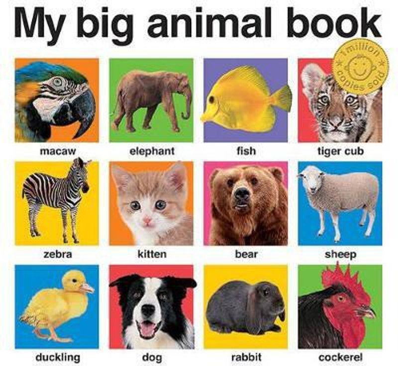My Big Animal Book  (English, Board book, Priddy Roger)