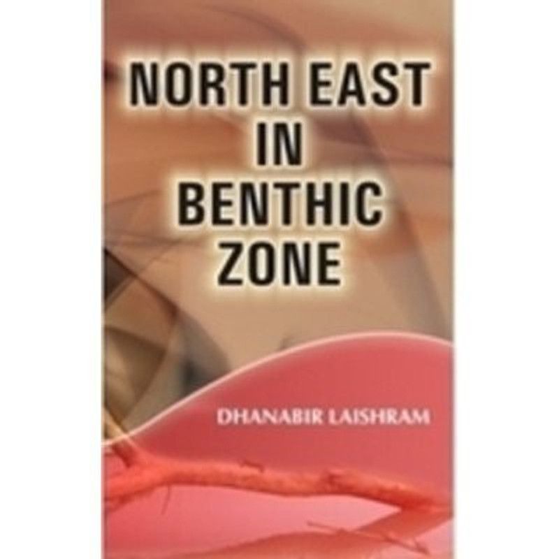 North East in Benthic Zone  (English, Hardcover, Laishram Dhnabir)