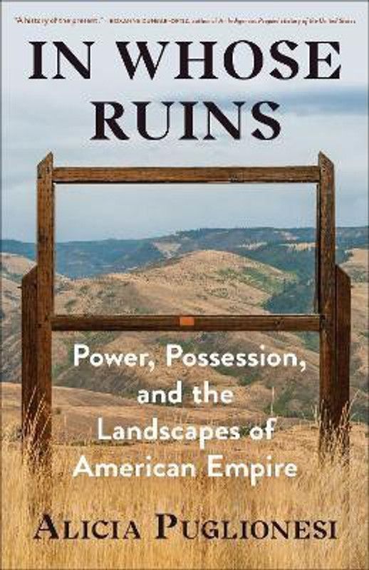 In Whose Ruins  (English, Hardcover, Puglionesi Alicia)