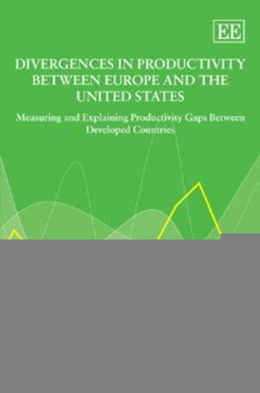 Divergences in Productivity Between Europe and the United States  (English, Hardcover, unknown)