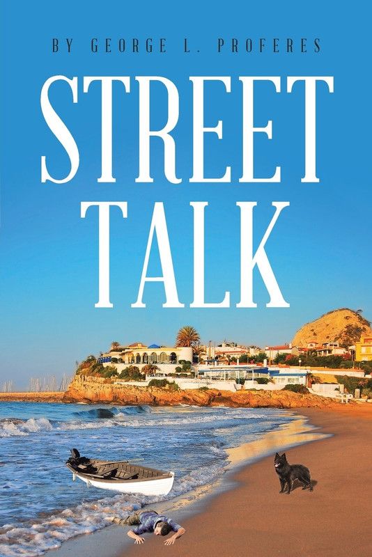 Street Talk  (English, Paperback, Proferes George L)