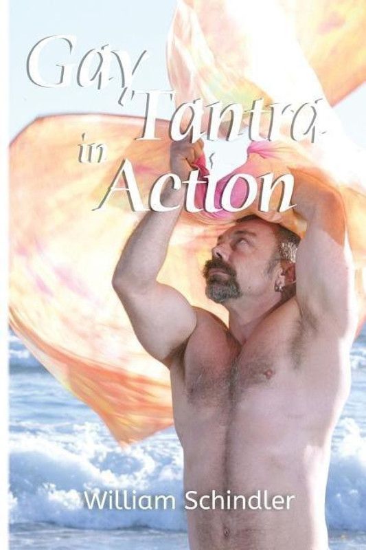 Gay Tantra in Action  (English, Paperback, Schindler William)