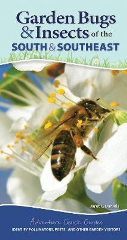 Garden Bugs & Insects of the South & Southeast  (English, Spiral bound, Daniels Jaret C.)