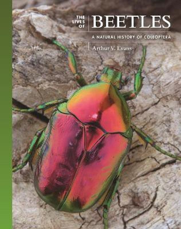 The Lives of Beetles  (English, Hardcover, Evans Arthur V.)