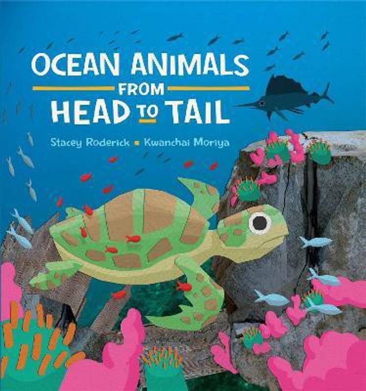 Ocean Animals from Head to Tail  (English, Paperback, Roderick Stacey)