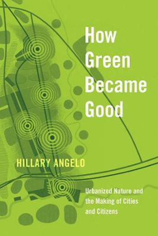 How Green Became Good  (English, Paperback, Angelo Hillary)