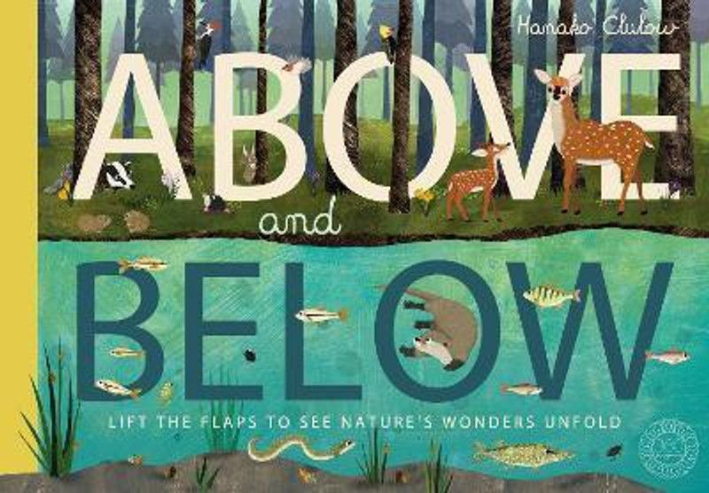 Above and Below  (English, Paperback, Hegarty Patricia)