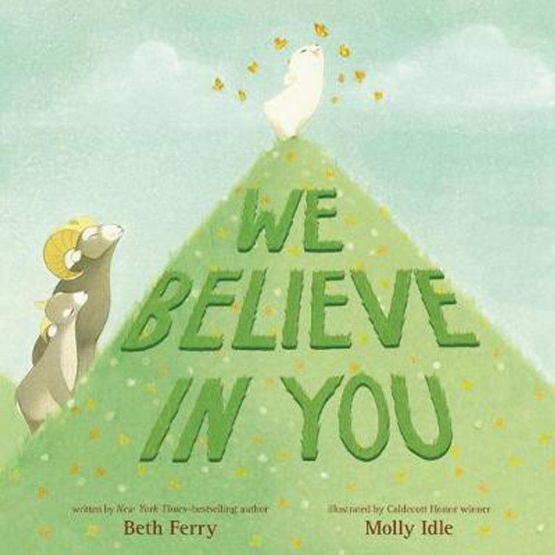 We Believe in You  (English, Hardcover, Ferry Beth)