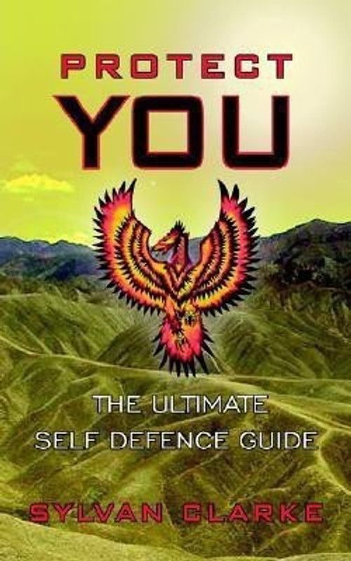 Protect You  (English, Paperback, CLARKE SYLVAN)
