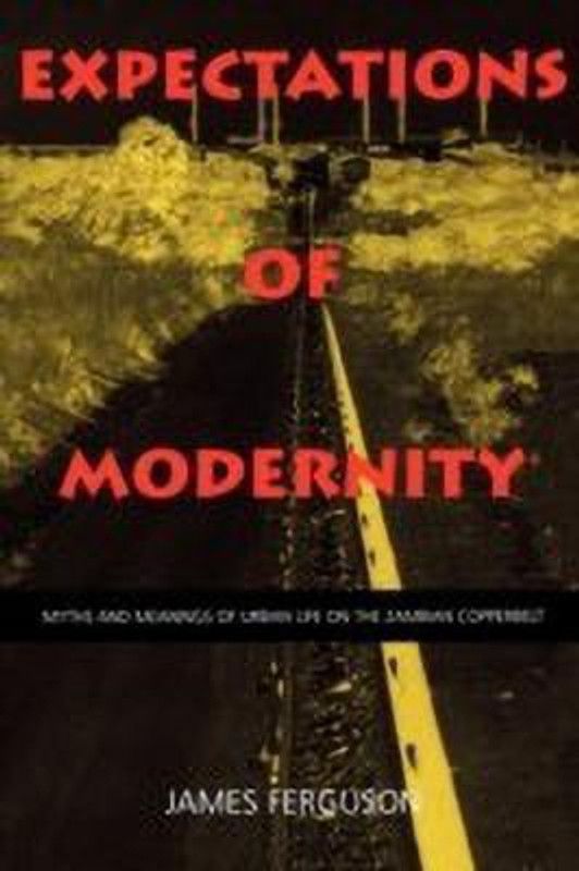 Expectations of Modernity  (English, Paperback, Ferguson James)