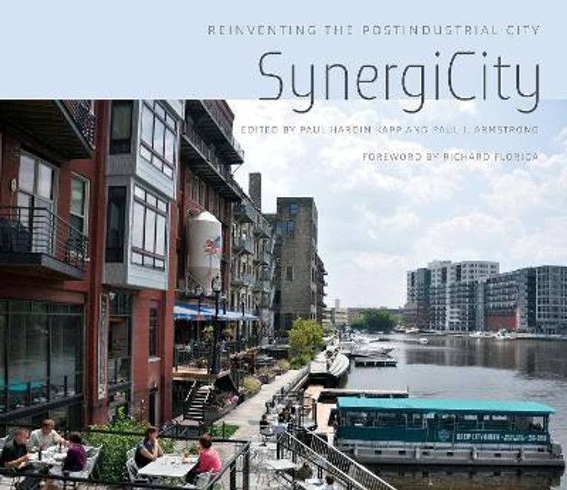 SynergiCity  (English, Paperback, Kapp Paul Hardin)